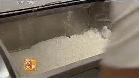 兰州牛肉爆料视频,一视频揭秘地道风味背后的秘密