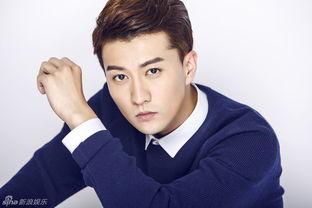 高仁明星,闪耀舞台的璀璨星辰