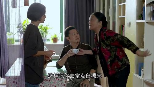 我的博士老公电视,探索科技与生活的完美融合